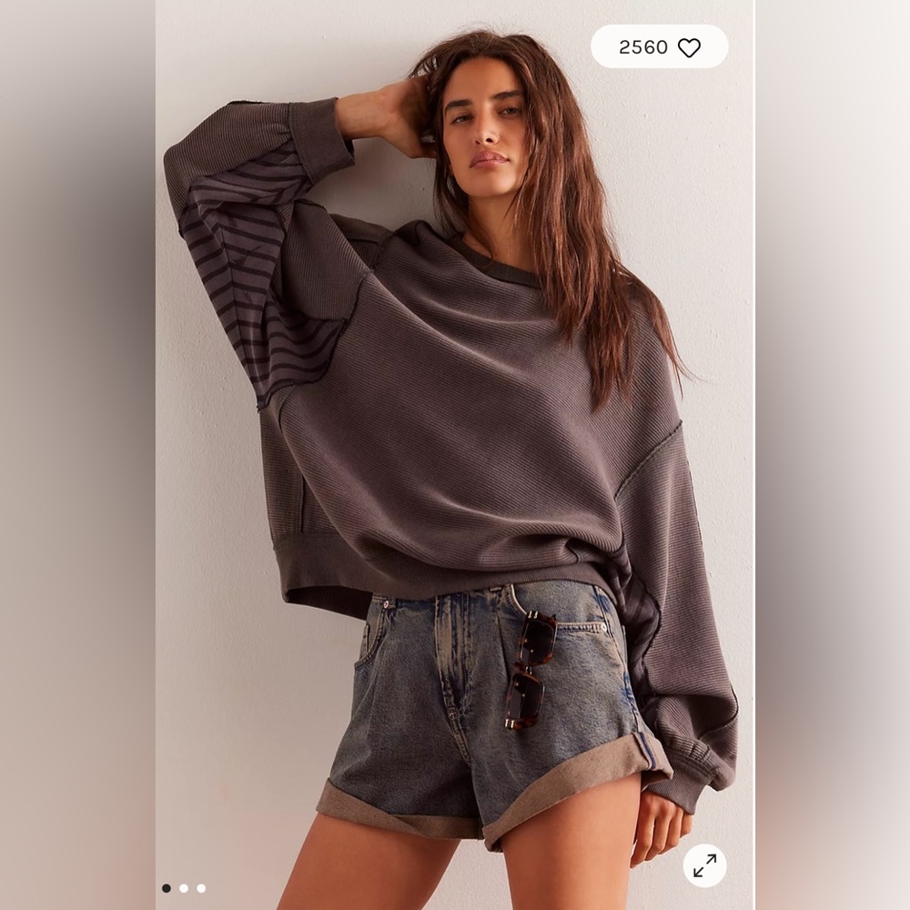 NWT Free People We the Free End Game Pullover